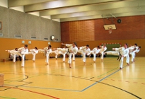Karate Lehrgang Erwachsene